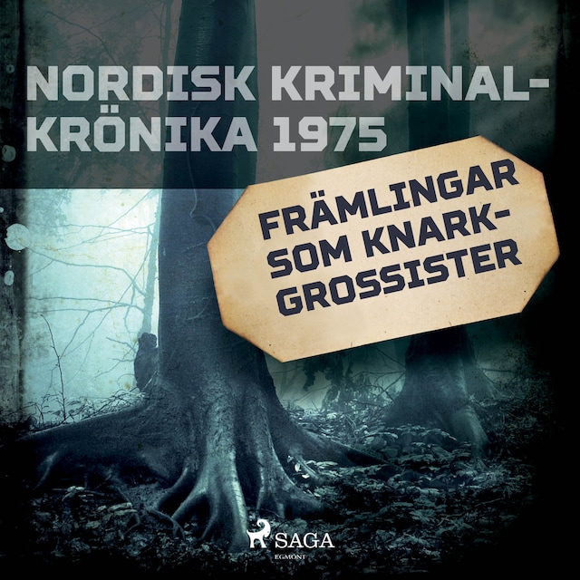Book cover for Främlingar som knarkgrossister
