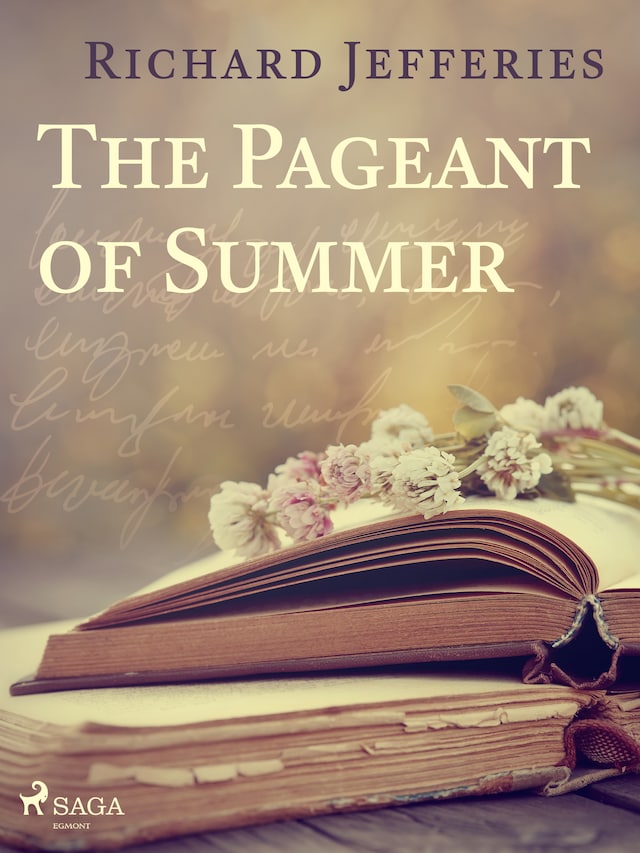 Book cover for The Pageant of Summer
