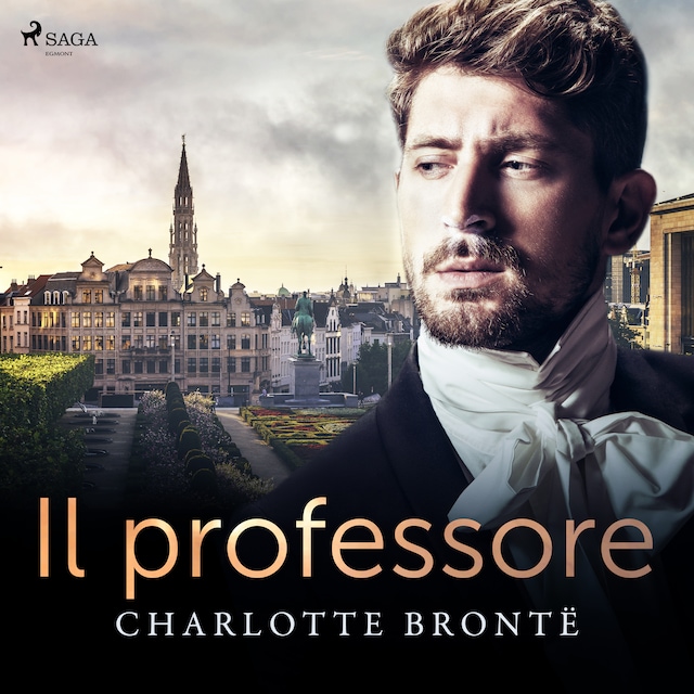 Book cover for Il professore