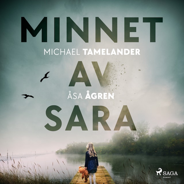 Book cover for Minnet av Sara
