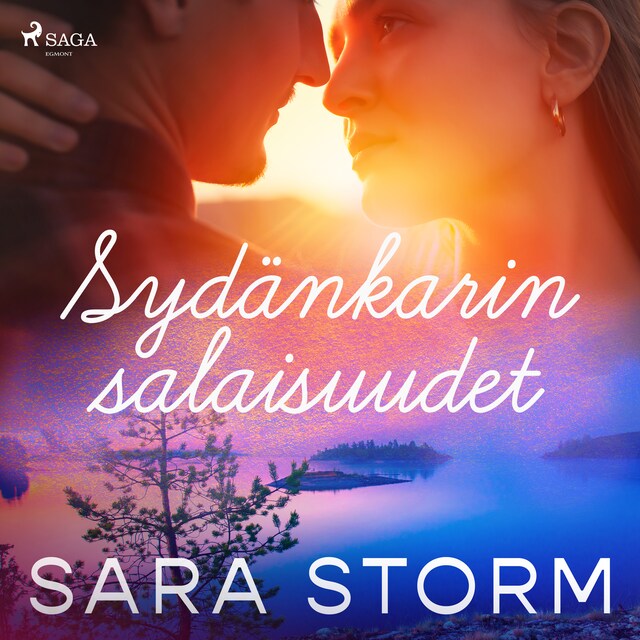 Book cover for Sydänkarin salaisuudet