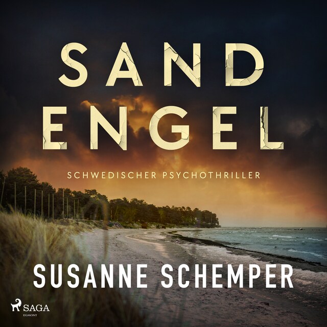 Book cover for Sandengel