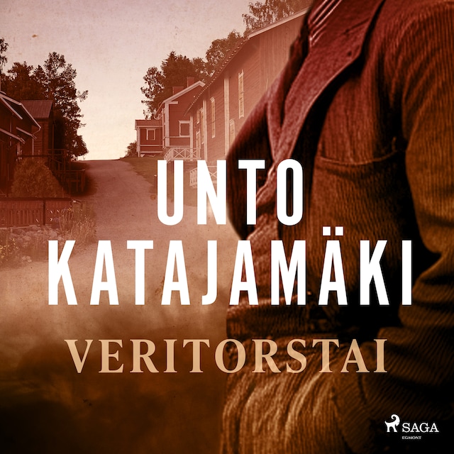 Book cover for Veritorstai