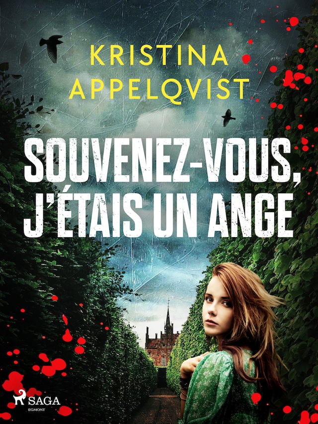 Book cover for Souvenez-vous, j’étais un ange