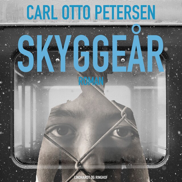 Book cover for Skyggeår