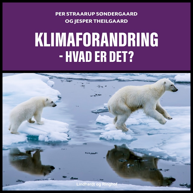 Bogomslag for Klimaforandring - hvad er det?