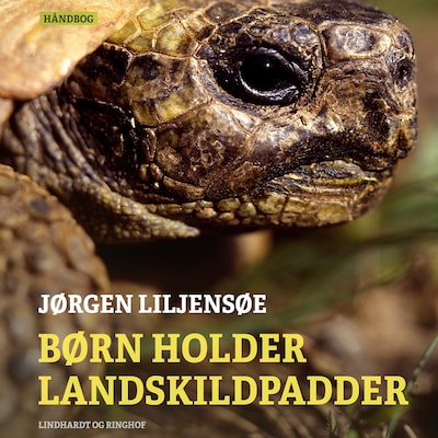 Børn holder landskildpadder