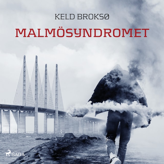Book cover for Malmösyndromet