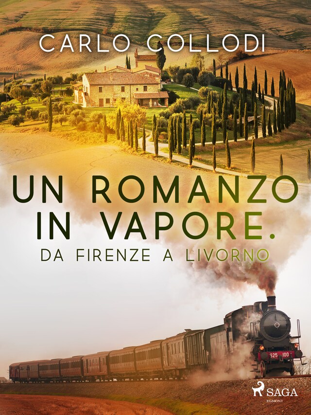 Book cover for Un romanzo in vapore. Da Firenze a Livorno