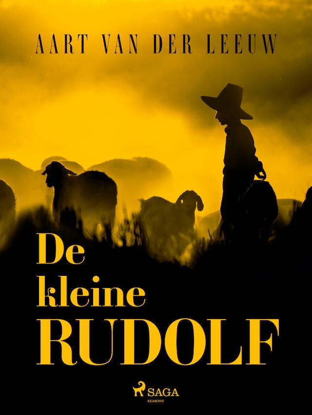 Couverture de livre pour De kleine Rudolf