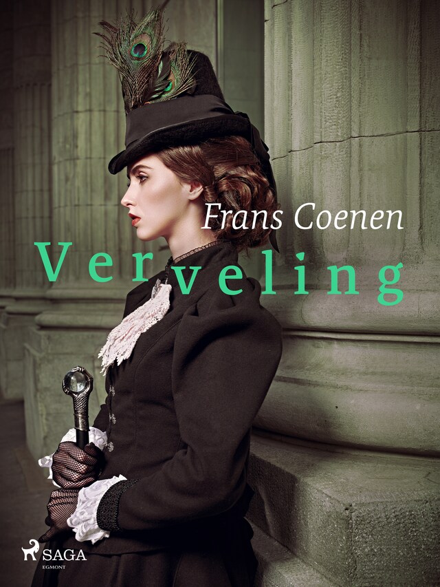 Book cover for Verveling