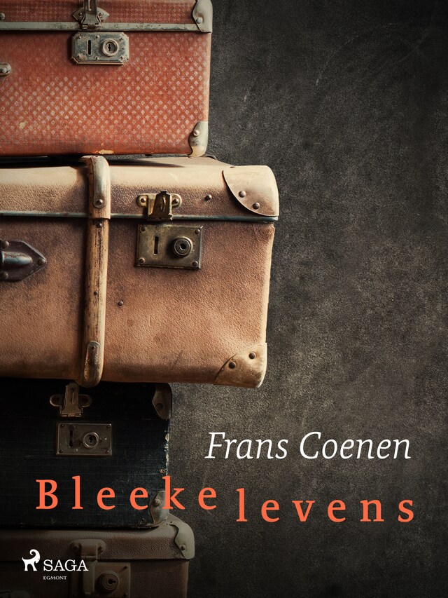 Bokomslag for Bleeke levens