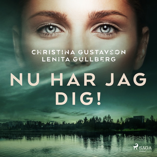 Book cover for Nu har jag dig!
