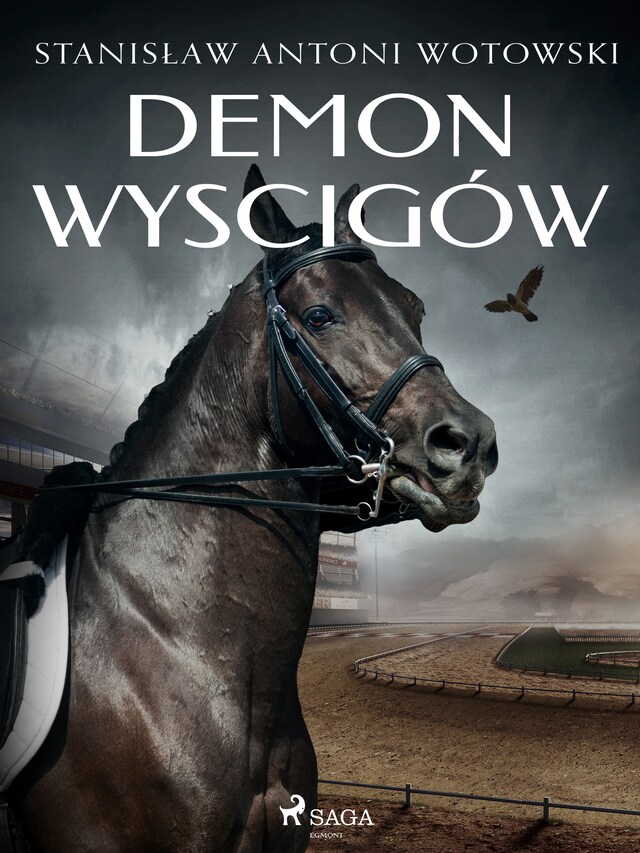 Book cover for Demon wyścigów