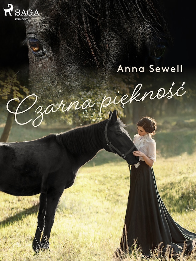 Book cover for Czarna Piękność