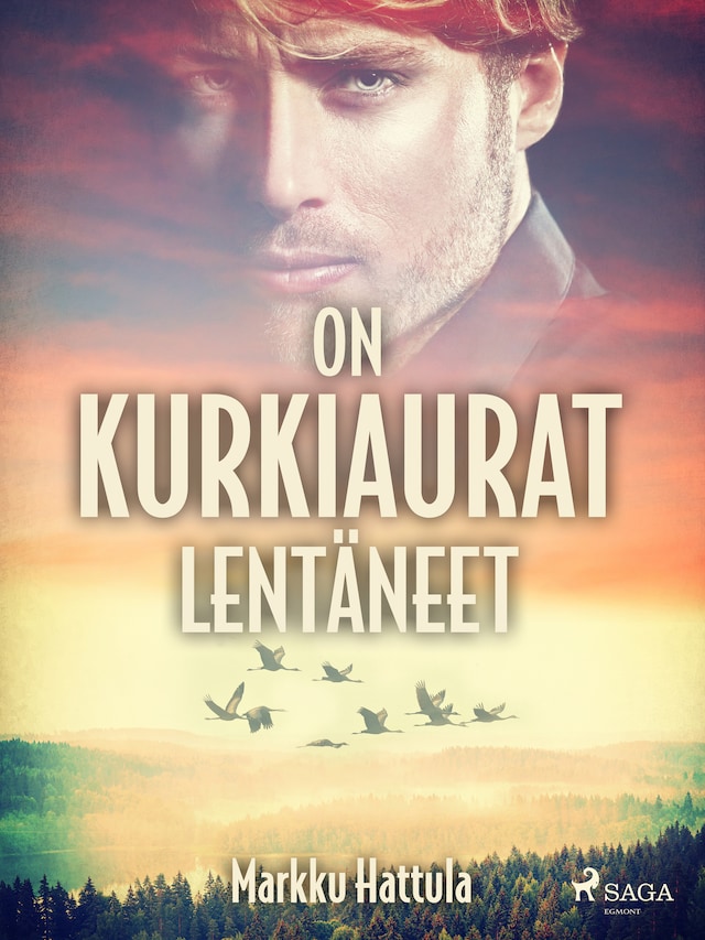 Book cover for On kurkiaurat lentäneet