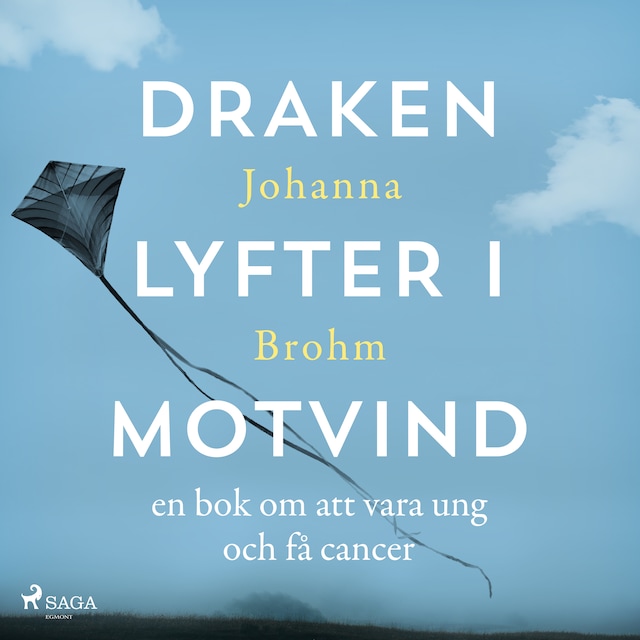 Book cover for Draken lyfter i motvind