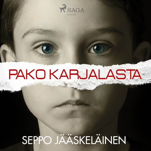 Buchcover für Pako Karjalasta