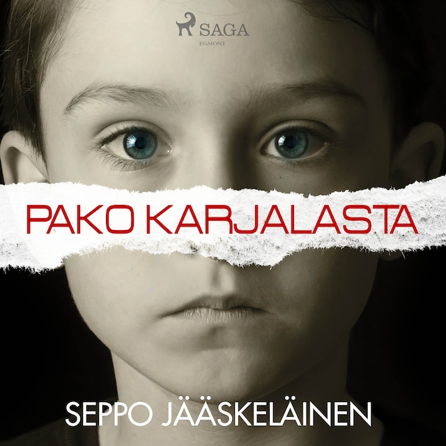 Book cover for Pako Karjalasta