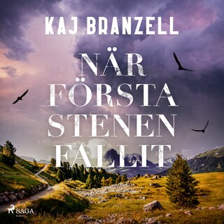 När första stenen fallit bookCoverFor