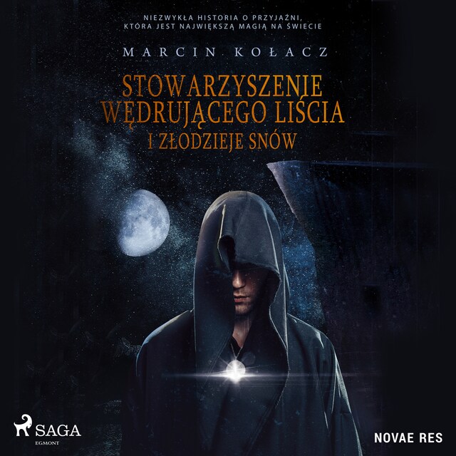 Book cover for Stowarzyszenie wędrującego liścia i złodzieje snów