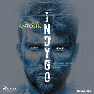 Indygo bookCoverFor