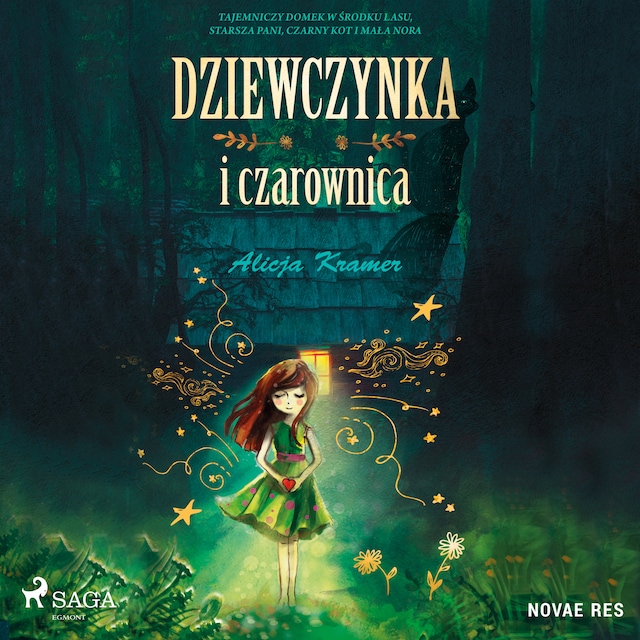 Book cover for Dziewczynka i czarownica