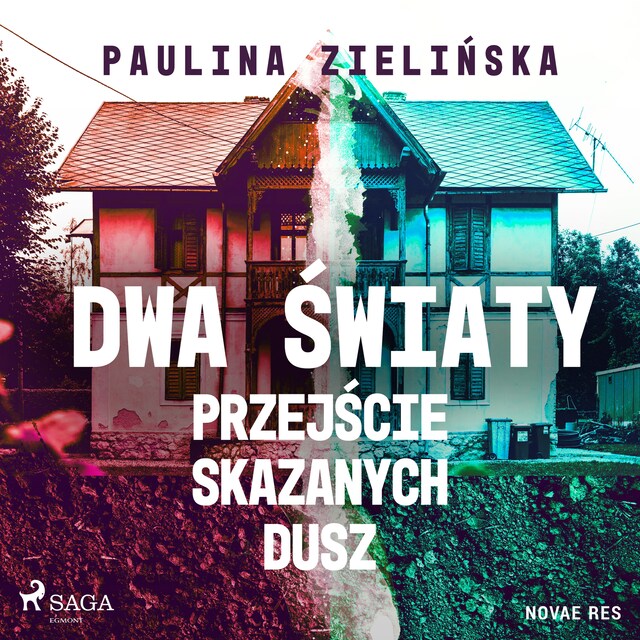 Couverture de livre pour Dwa światy. Przejście skazanych dusz