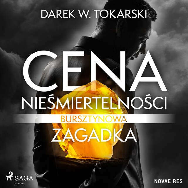 Portada de libro para Cena nieśmiertelności. Bursztynowa zagadka