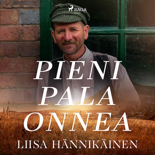 Book cover for Pieni pala onnea