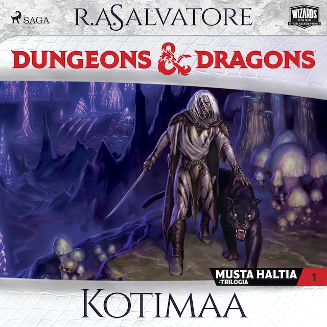 Buchcover für Dungeons & Dragons – Drizztin legenda: Kotimaa