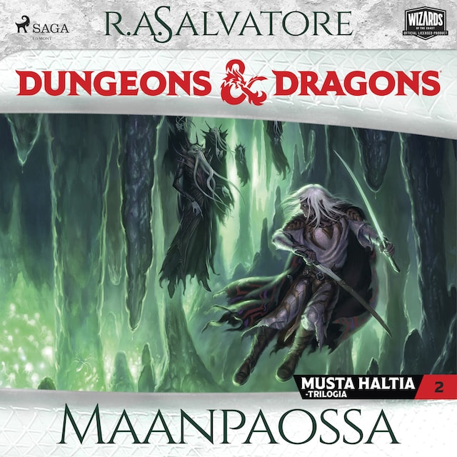 Buchcover für Dungeons & Dragons – Drizztin legenda: Maanpaossa