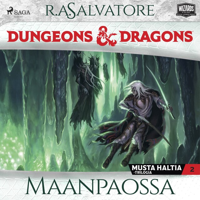 Boekomslag van Dungeons & Dragons – Drizztin legenda: Maanpaossa