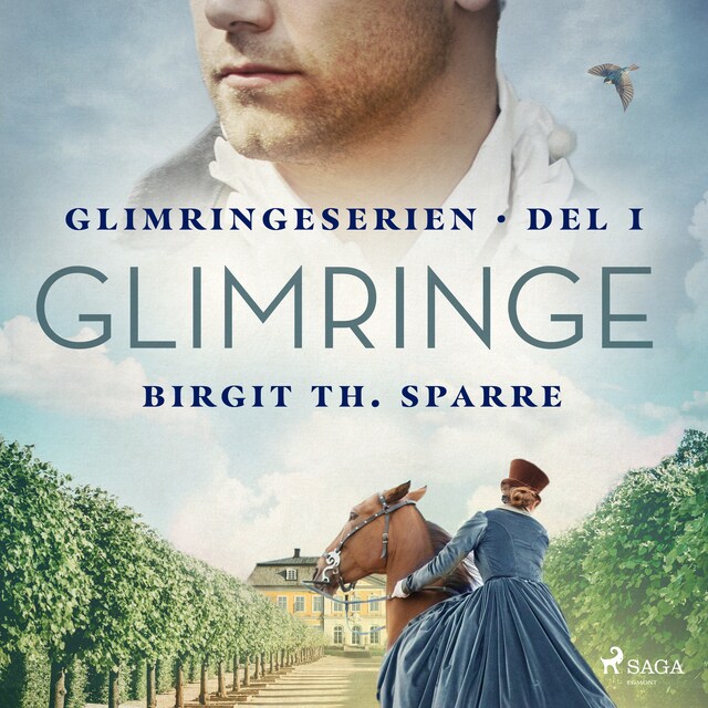 Copertina del libro per Glimringe