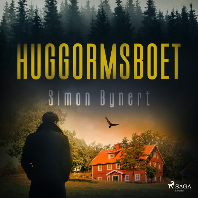 Book cover for Huggormsboet