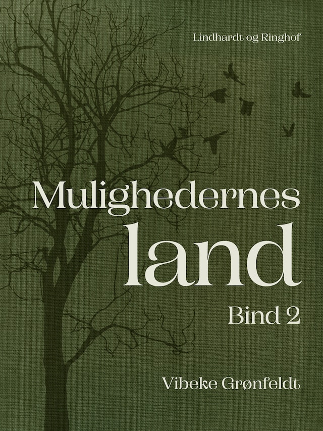 Bogomslag for Mulighedernes land. Bind 2