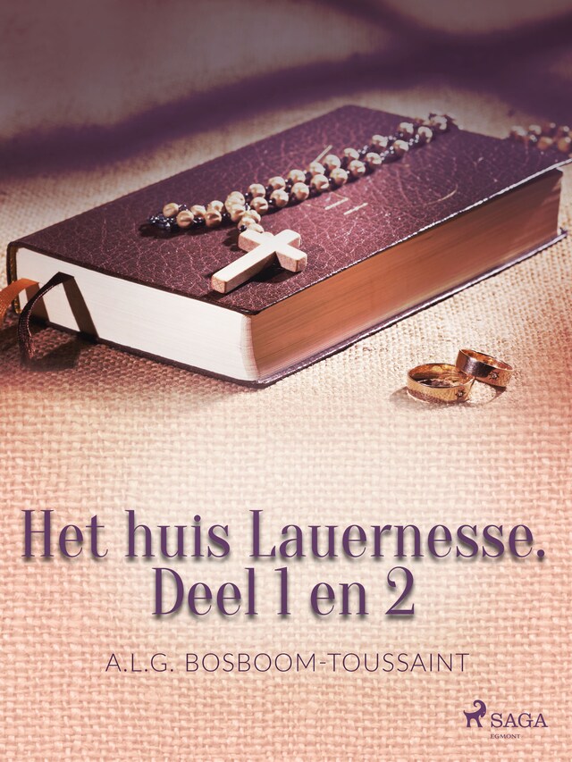 Book cover for Het huis Lauernesse. Deel 1 en 2