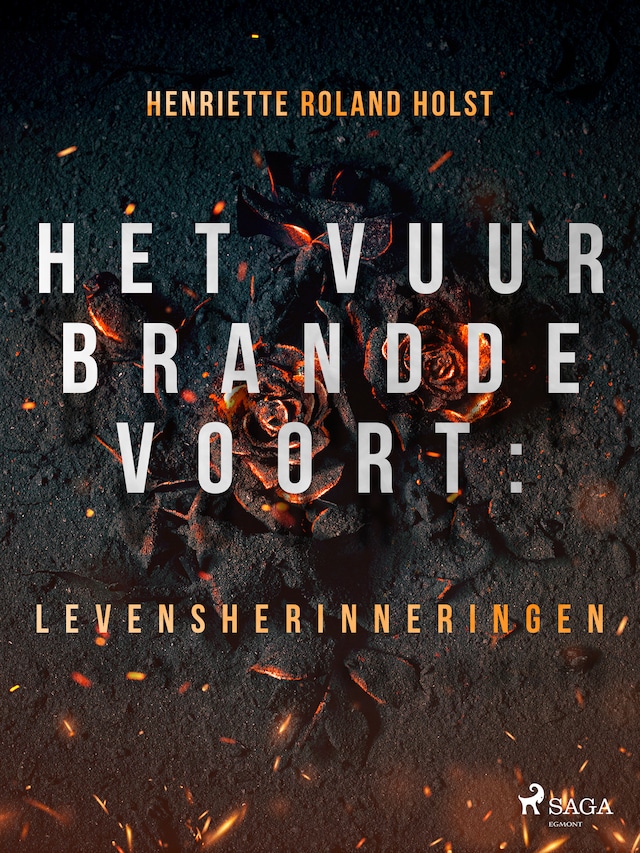 Book cover for Het vuur brandde voort: levensherinneringen