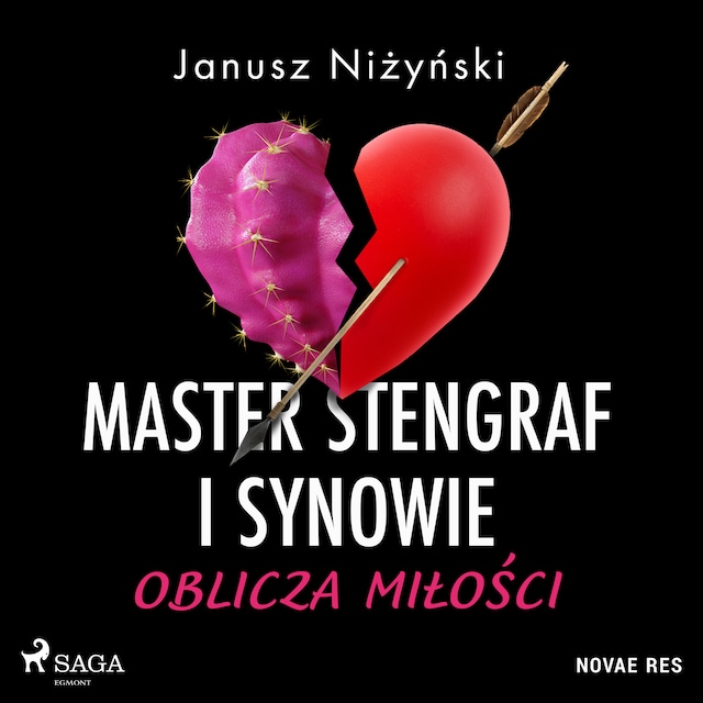 Book cover for Master Stengraf i synowie. Oblicza miłości