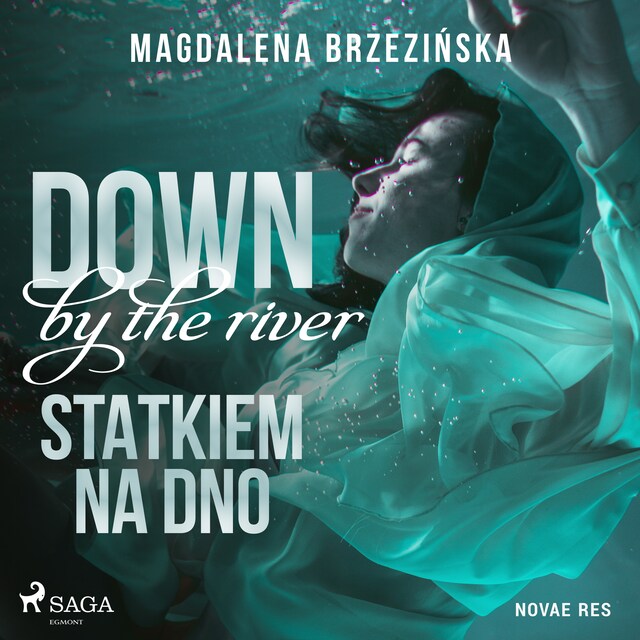 Couverture de livre pour Down by the river. Statkiem na dno