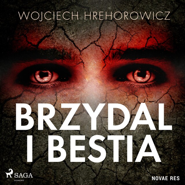 Book cover for Brzydal i bestia