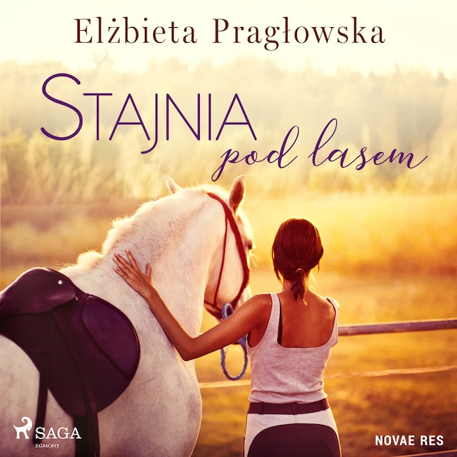Book cover for Stajnia pod lasem