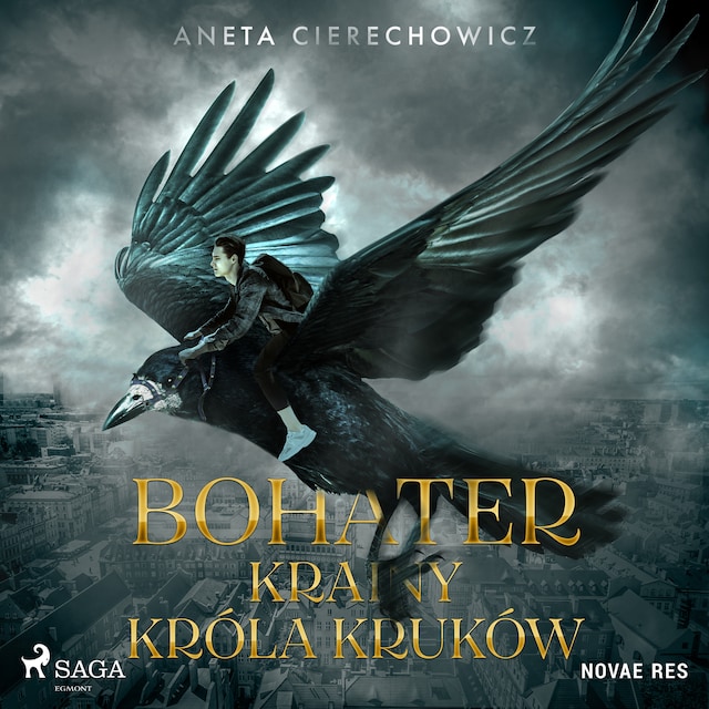 Book cover for Bohater Krainy Króla Kruków