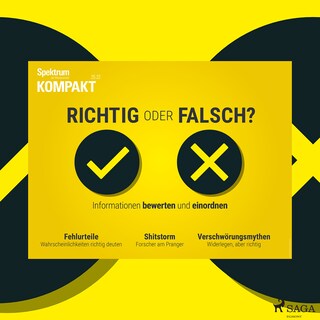 Spektrum Kompakt: Richtig oder falsch? Informationen bewerten und einordnen als Hörbuch