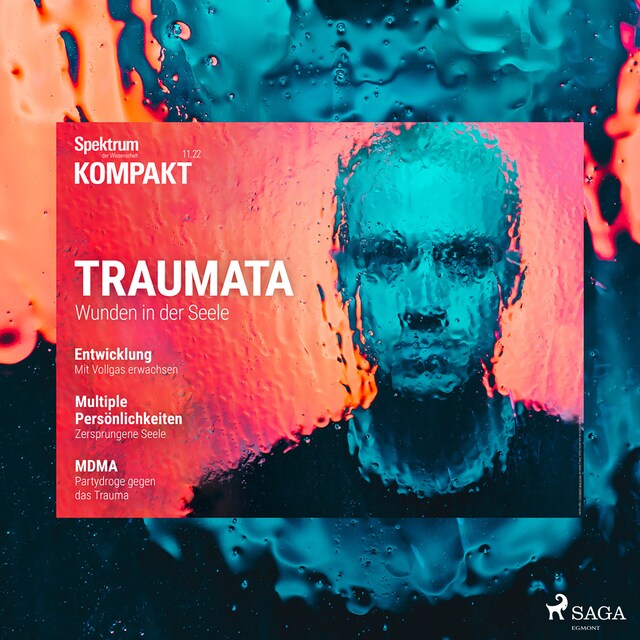 Boekomslag van Spektrum Kompakt: Traumata - Wunden in der Seele