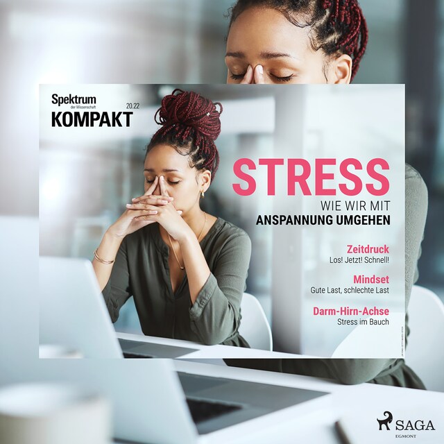 Couverture de livre pour Spektrum Kompakt: Stress - Wie wir mit Anspannung umgehen