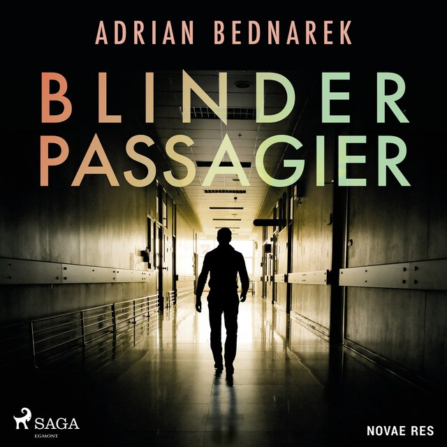 Book cover for Blinder Passagier