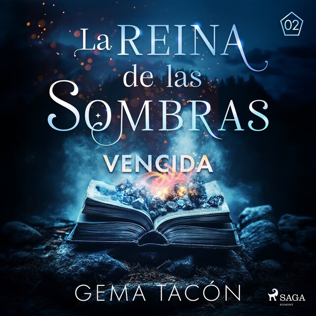 Book cover for Vencida