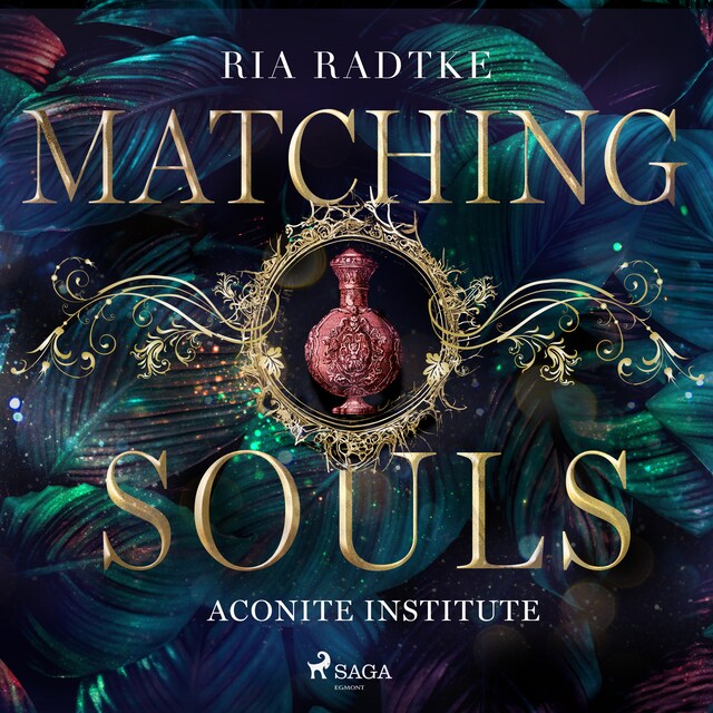 Portada de libro para Matching Souls