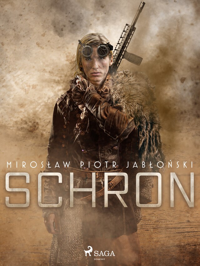 Book cover for Schron